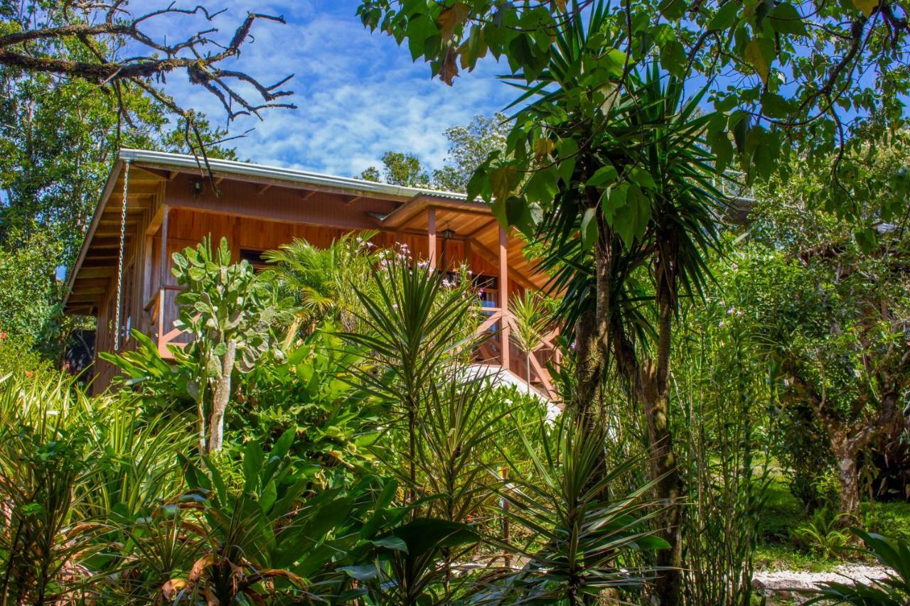 Hotel Holistico Monteverde Екстер'єр фото