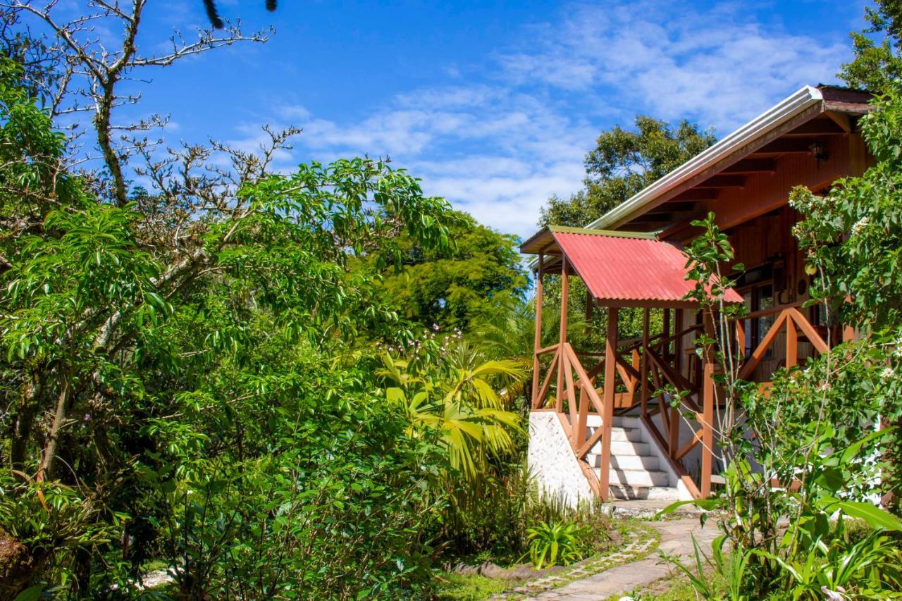 Hotel Holistico Monteverde Екстер'єр фото
